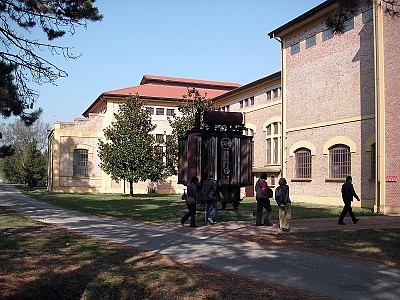 Foto 7 di 14