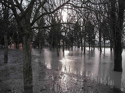 Foto 10 di 16