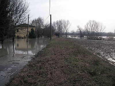 Foto 11 di 16