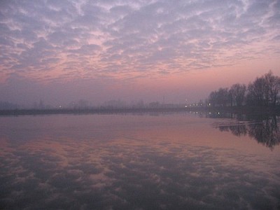Foto 11 di 12