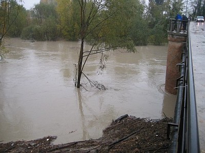 Foto 2 di 29