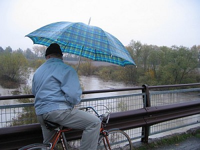 Foto 14 di 29