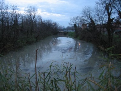 Foto 4 di 12