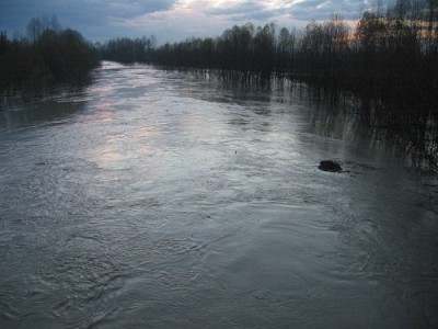 Foto 8 di 12