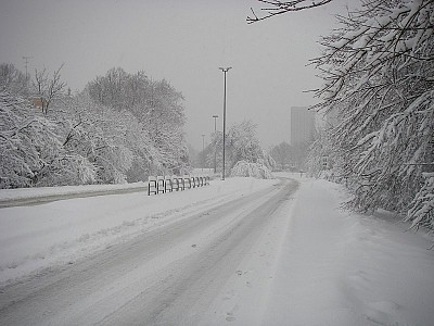 Foto 6 di 61
