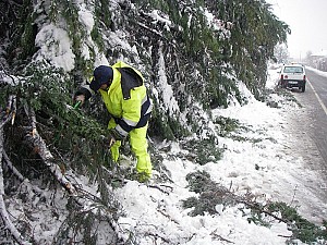 10/03/2010<br>Emergenza neve