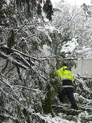 10/03/2010<br>Emergenza neve