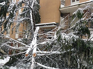 10/03/2010<br>Emergenza neve