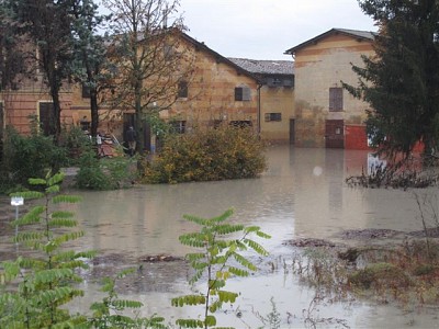 Foto 8 di 21