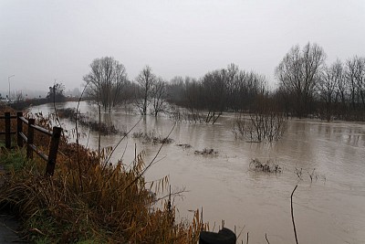 Foto 3 di 16