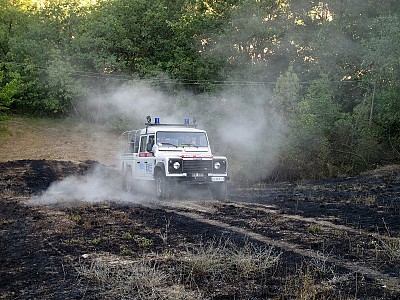 Foto 8 di 28
