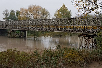Foto 8 di 21