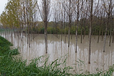 Foto 15 di 21