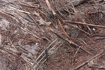 Foto 21 di 21