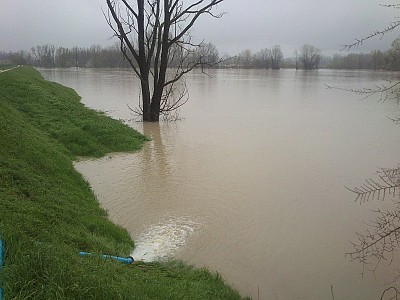 Foto 28 di 28