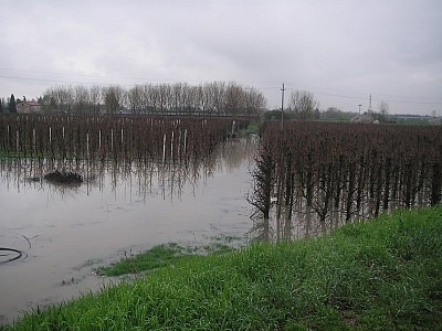Foto 9 di 28