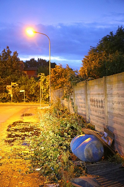 Foto 12 di 42