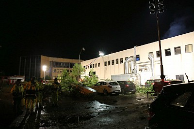 Foto 41 di 42