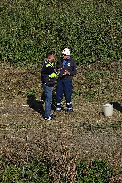 Foto 42 di 83