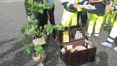 Foto 3 di 27