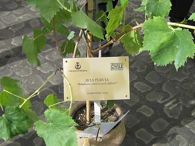 Foto 7 di 27