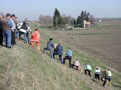 Foto 8 di 24