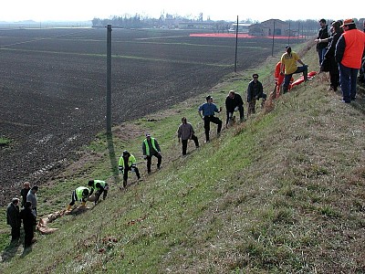 Foto 10 di 24