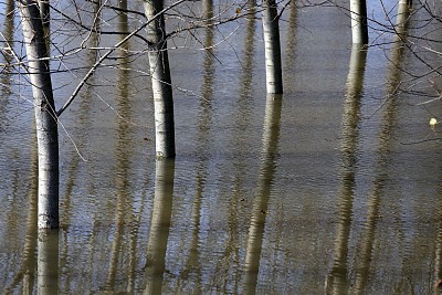 Foto 3 di 41