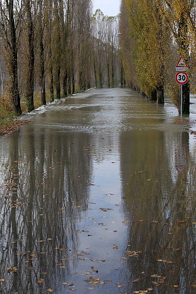 Foto 18 di 41