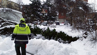 Foto 3 di 58