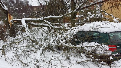 Foto 9 di 58