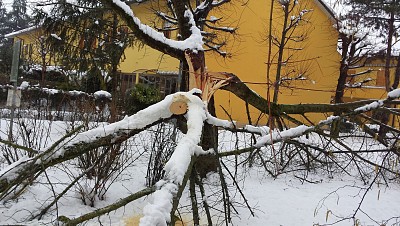Foto 10 di 58