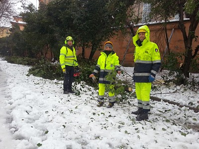 Foto 15 di 58