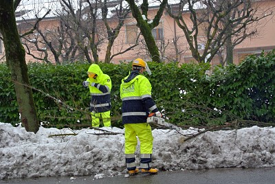 Foto 18 di 58