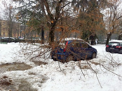 Foto 20 di 58