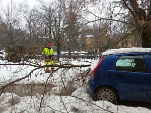 06/02/2015<br>Emergenza neve