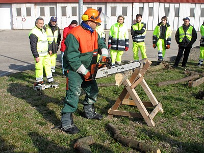 Foto 20 di 29