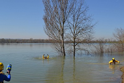 Foto 38 di 51
