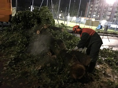 Foto 6 di 26