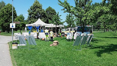 Foto 4 di 12