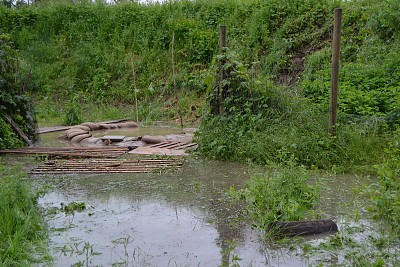 Foto 21 di 23