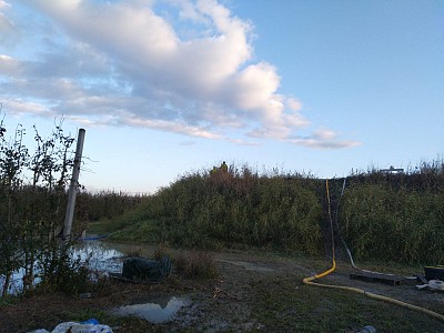 Foto 27 di 41