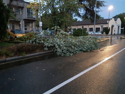 Foto 1 di 38