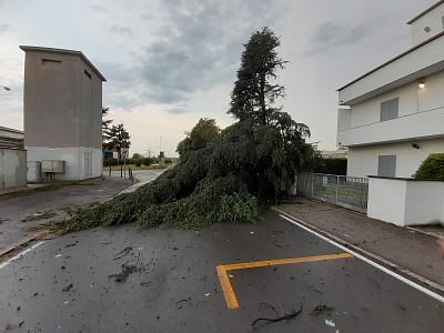 Foto 6 di 38