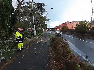 Foto 19 di 38