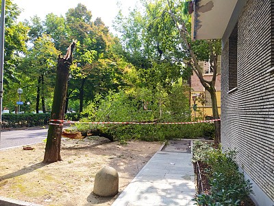 Foto 23 di 38