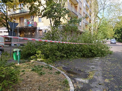 Foto 24 di 38