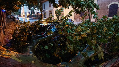 Foto 26 di 38