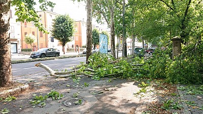 Foto 31 di 38