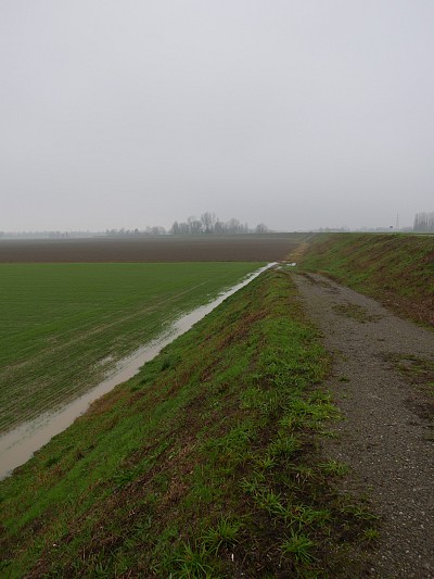 Foto 15 di 22